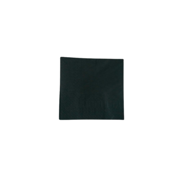 Servilleta 2 Capas Negra